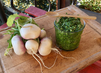 Pesto aux fanes de navet (c) Louise Browaeys