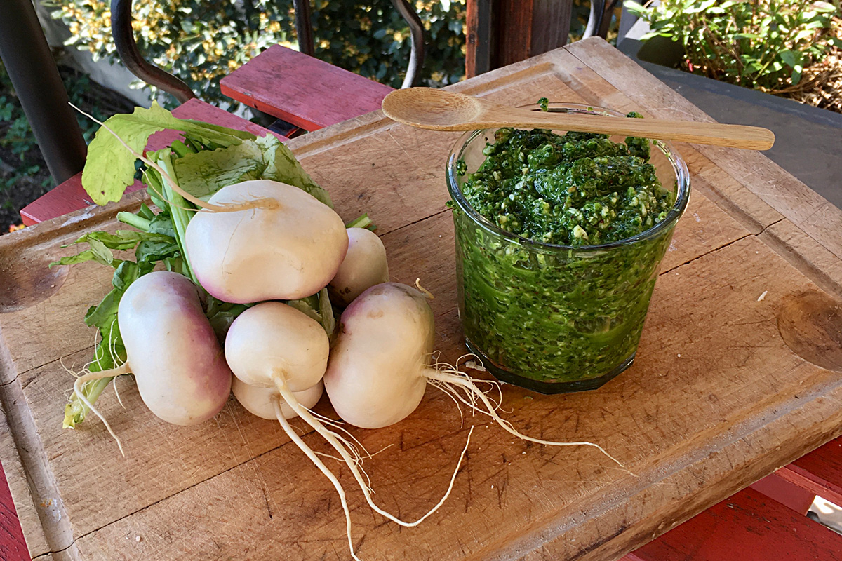 Petit manuel de cuisine punk Pesto aux fanes de navet (c) Louise Browaeys Pesto aux fanes de navet (c) Louise Browaeys