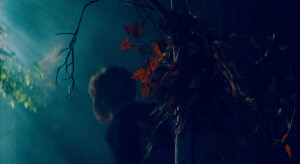 © christopheengels