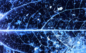 Gregor BOŽIČ Monument aux arbres tombés © Gregor Božič production Le Fresnoy – Studio national des arts contemporains