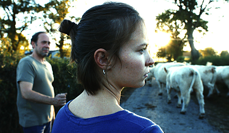 La Terre des hommes © Diligence Films © Diligence Films