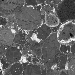 Image en microscopie électronique à balayage
de la météorite primitive Semarkona, champ de
vue environ 2 mm. Taille pixel de l’image : beaucoup
de pixels, Fichier TIF, Taille finale = 762 x 762 mm
ou 762 x 1016 mm © MNHN Paris