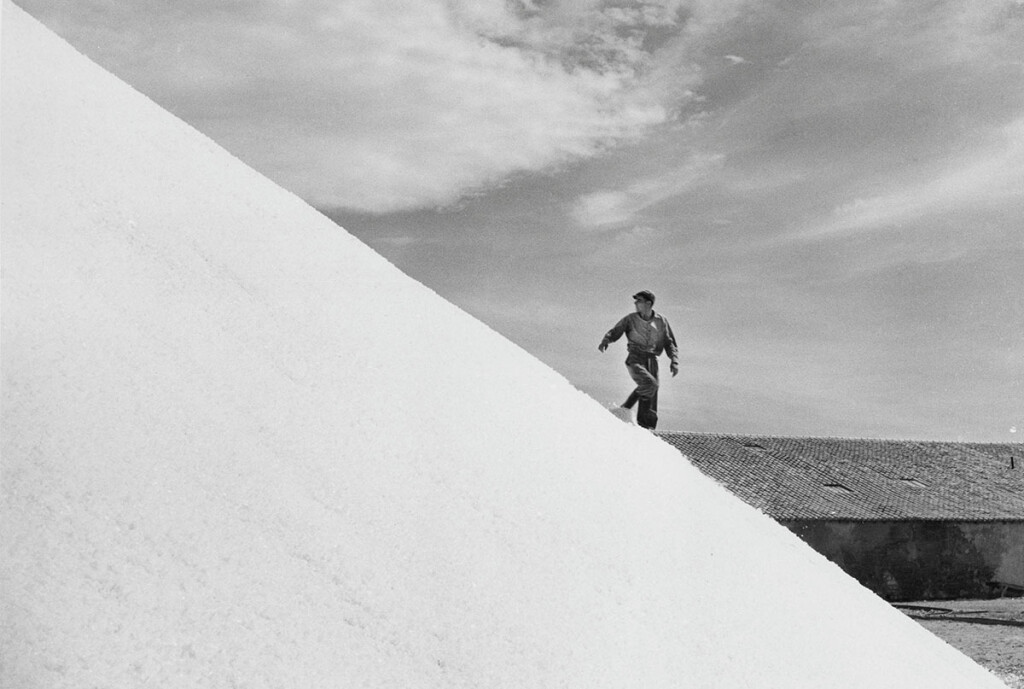 Agnès Varda, Sel, 1951 © Succession Agnès Varda — Collection Rosalie Varda