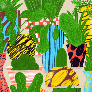 Plantas y Macetas  (c) Bernardo Henning