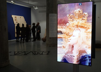 Vue d'exposition, Vir Andres Hera © Julien Damien