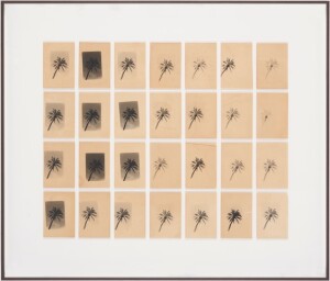 Bruno V. Roels, A Palm Tree Is A Palm Tree Is A Palm Tree (Getting Things Straight), 2021 © Bruno V. Roels. Courtesy Gallery FIFTY ON