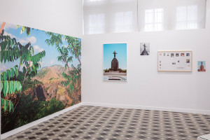 Vue de l'exposition Tsavt Tanem, Camille Leveque, janvier 2022 © Mathieu Harel Vivier