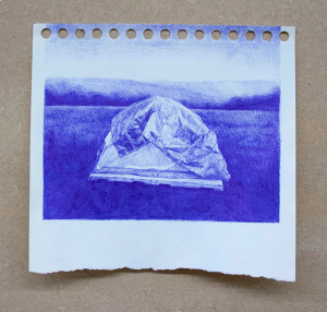Blue rave Stylo à bille sur papier (c) Robin Wen