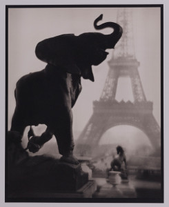 Pierre Dubreuil, Éléphantaisie, 1908,
Tirage moderne au palladium, Don Tom Jacobson,
Palais des beaux-arts de Lille
© PBA Lille / Photo J.-M. Dautel