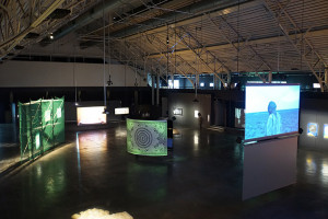 Vue d'exposition (c) Julien Damien