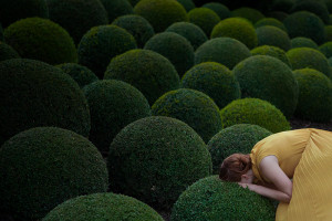 Jardin jaune  (c) Maia Flore / Agence VU