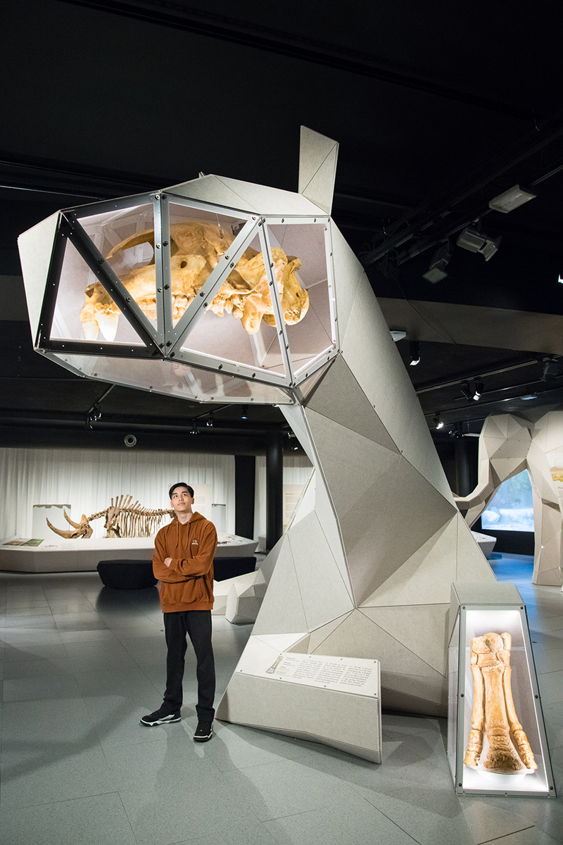 Giants © Institut des Sciences naturelles © Institut des Sciences naturelles