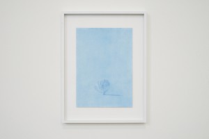 (c) Musée des beaux-arts de Tournai