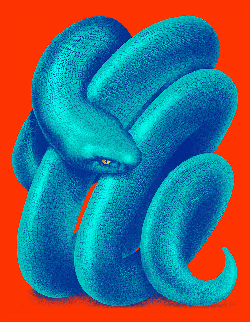 Snake (c) Andrei Nicolescu