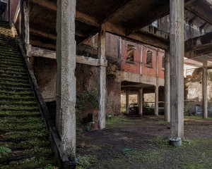 Marcasse © Karin Borghouts