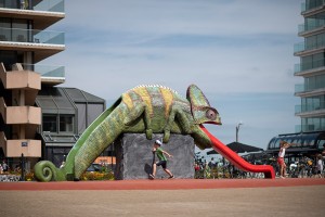 © Ann-Sophie Deldycke