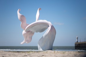 © Ann-Sophie Deldycke