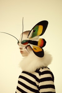 Moth man (c) Yasmin Gross