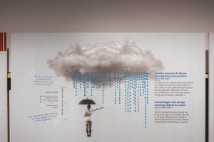 Après la pluie