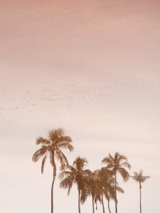 Jean-Michel André, Chambre 207, Mirage,
Saint-Louis, 2023 © Jean-Michel André, 2024