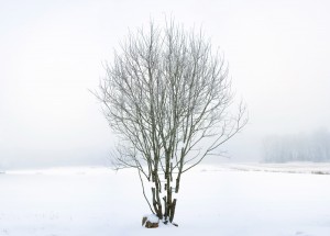 Broken Landscape I - ©Antti Laitinen
