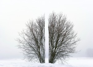 Broken Landscape III - ©Antti Laitinen