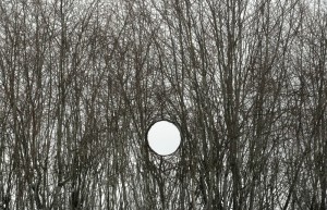 Broken Landscape V - ©Antti Laitinen