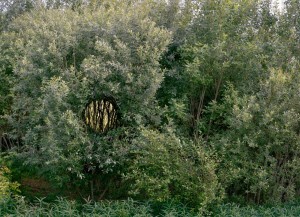 Broken Landscape VII - ©Antti Laitinen
