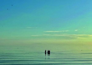 Comme des étoiles ©Valéry Maria