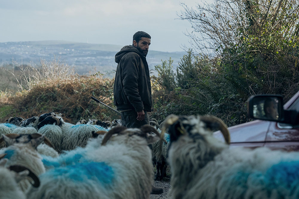 Le Clan des bêtes © MUBI © MUBI