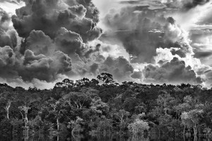 Archipel fluvial de Mariuá, Rio Negro. État de Amazonas, Brésil, 2019 © Sebastião SALGADO