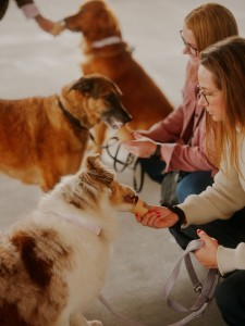 © Guillaume Kayacan