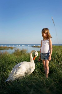 11_SophiePawlak copie