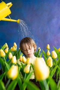 7_SophiePawlak copie