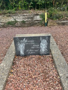 Le Paradis des animaux 1