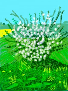 David Hockney , The Arrival of Spring in Woldgate, East Yorkshire in 2011 - 30 April, 
iPad drawing printed on paper © David Hockney, Ernst Collection