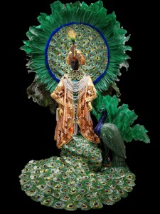 Le grand défilé de Rio - Costume à répartir - 2009 - Destaque central de luxe - Maharadja (João Helder) - Viradouro