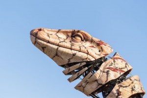 NOHCAB_varan-nohcab-307