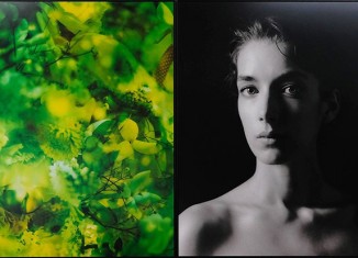 Marie-Jo Lafontaine L’Art lave notre âme de la poussière du quotidien 2023 Photographies (Diasec, cadre en chêne poli) et monochromes (huile sur MDF poli) 150 x 361 cm Collection particulière