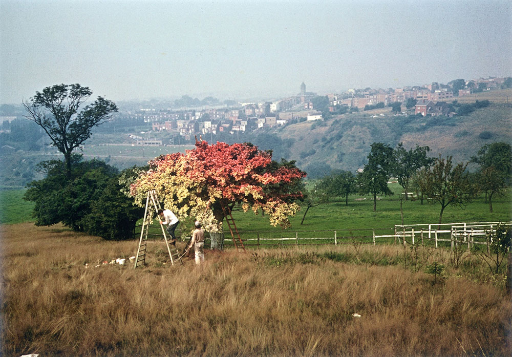 Paysage_artistique_couleur(c)Jacques_Charlier