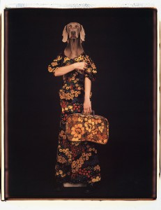 William WEGMAN, Armed and Matching, 1989, tirage photographique, Studio Wegman, Courtesy Galeries Georges-Philippe et Nathalie Vallois, Courtesy Studio Wegman, Galerie GP & N Vallois © Studio William Wegman