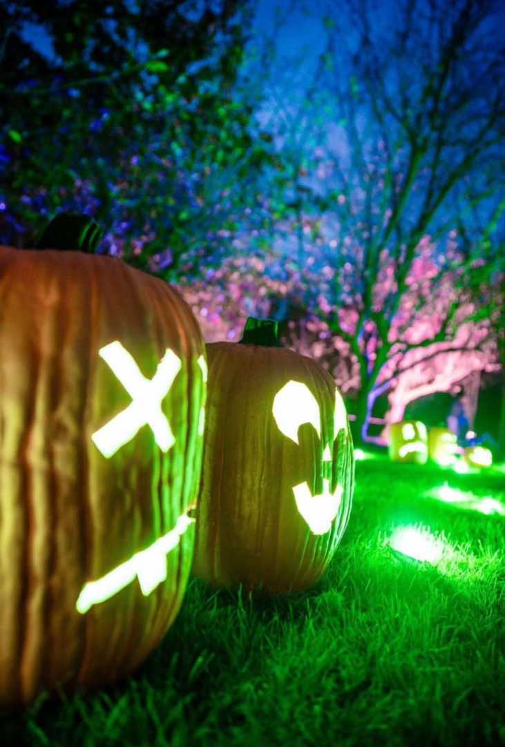 Pumpkimania
